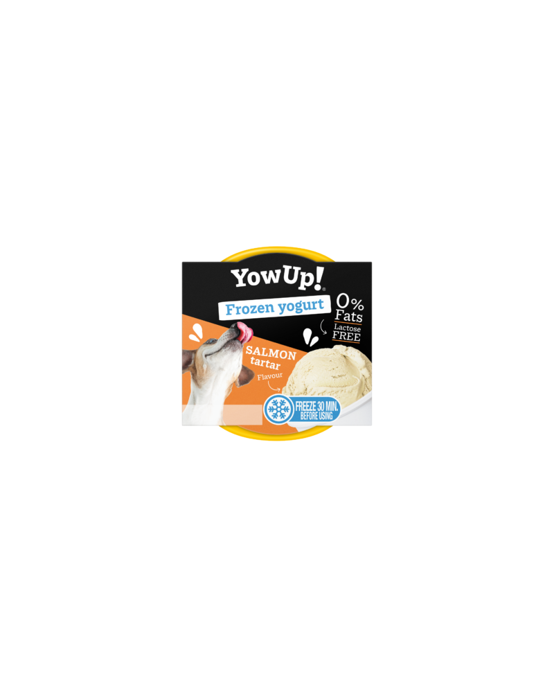 Yowup Helado Yogurt Salmón Tartar 110gr Yowup Helado Yogurt Salmón Tartar 110gr