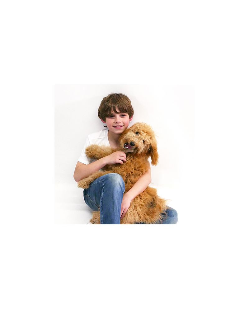 Nylabone Juguete Puppy Gourmet Stick Pollo para Perros