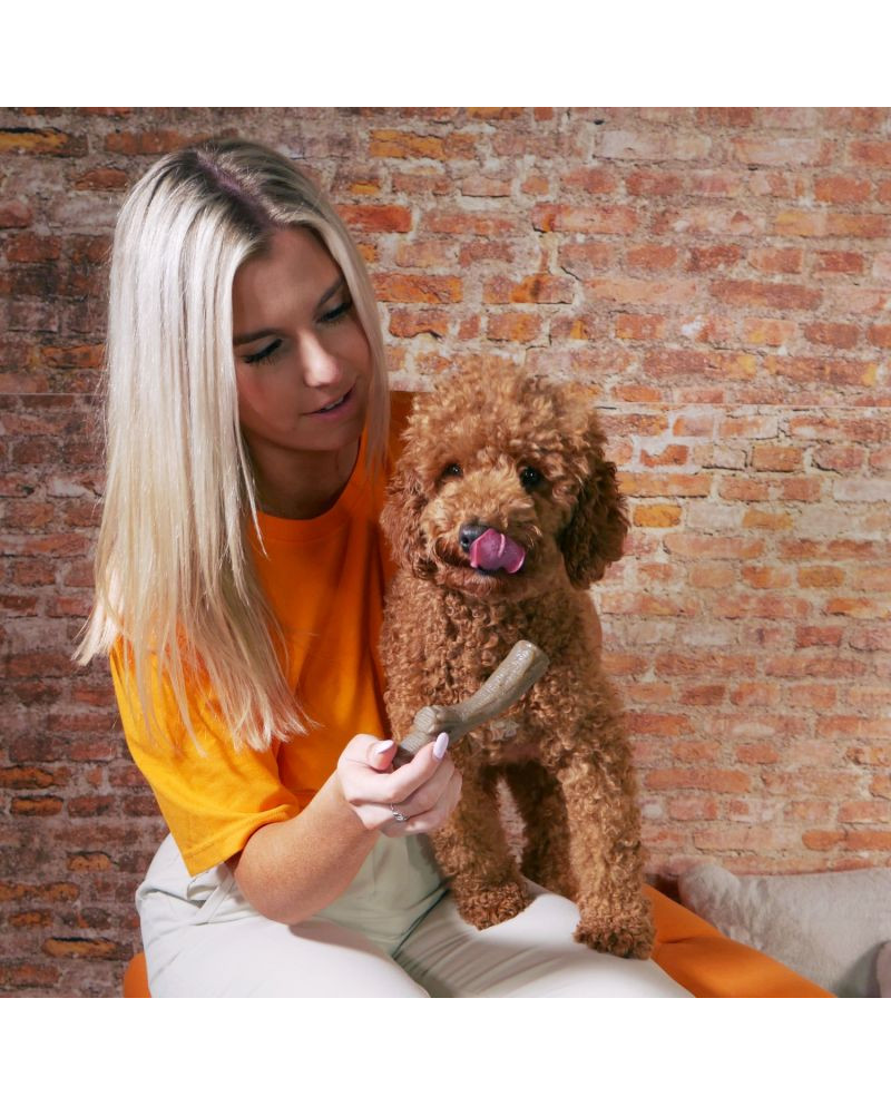 Nylabone Juguete Gourmet Stick Peanut para Perros