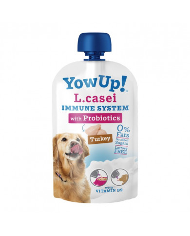Yogurt YowUp L. Casei Probiotics Yogurt YowUp L. Casei Probiotics