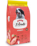 Arion Friends Winner