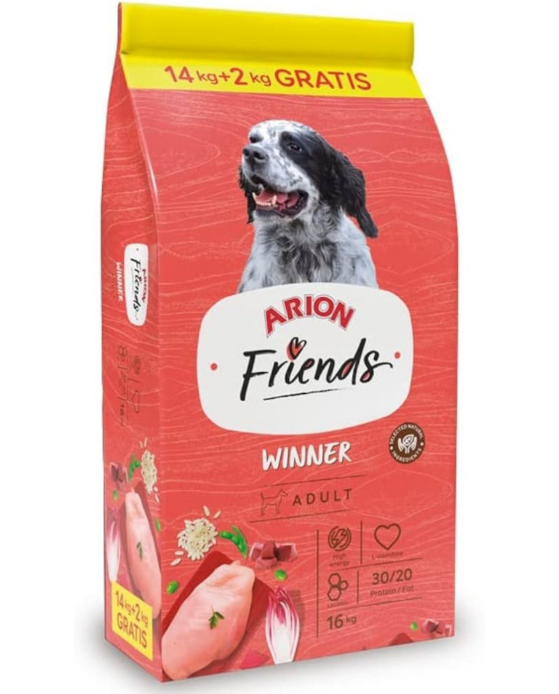 Arion Friends Winner