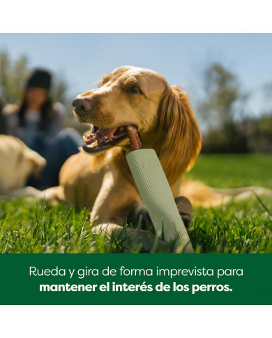 Earth Rated Chew Toy Earth Rated Chew Toy