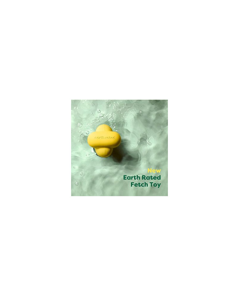 Earth Rated Fecth Toy Earth Rated Fecth Toy