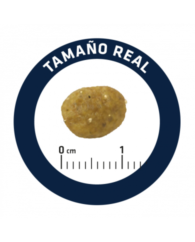 Advance veterinary Gastroenteric Feline Advance veterinary Gastroenteric Feline