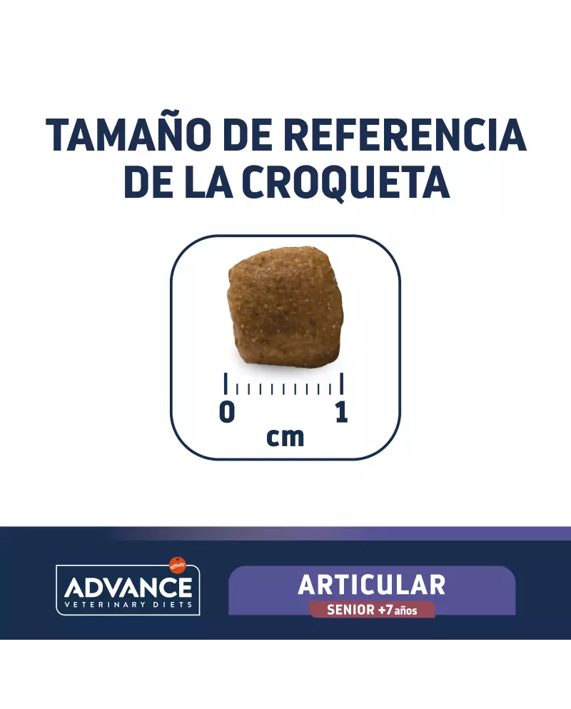 Advance Articular Senior