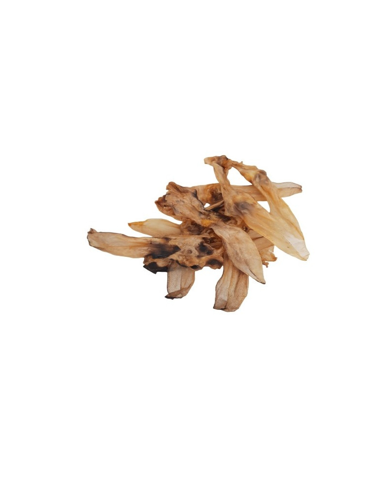 Orejas Conejo Premio Perro Natural Envio Domicilio