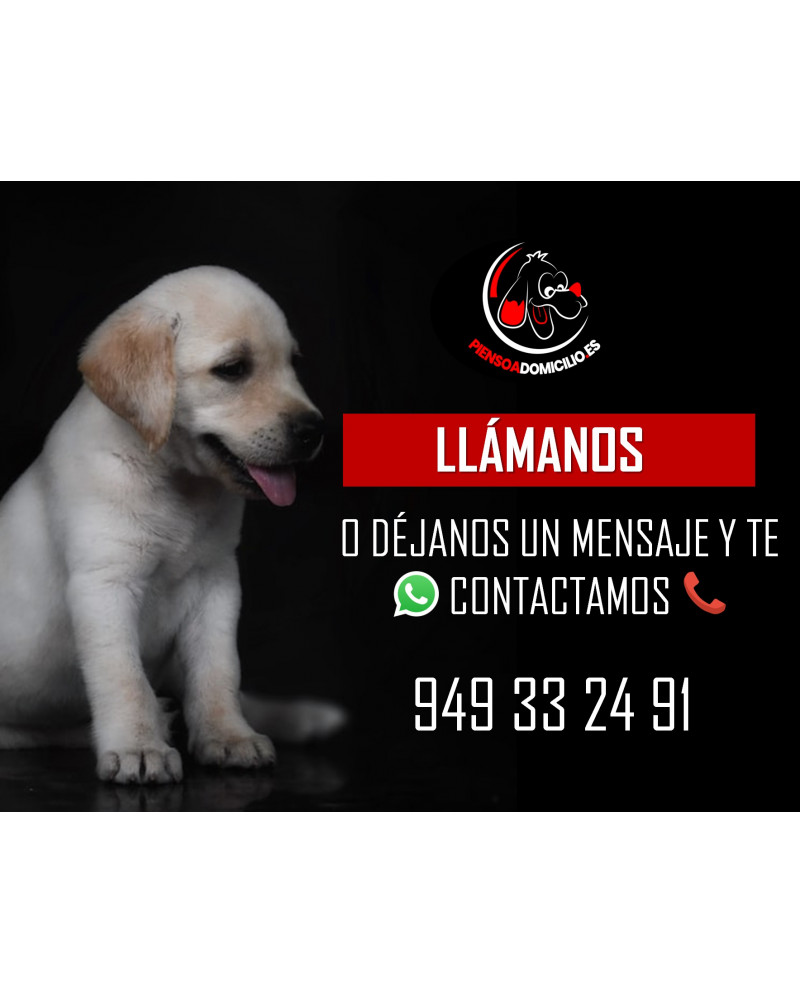 Arion Titanium envio gratuito a domicilio