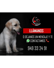 Arion Titanium envio gratuito a domicilio