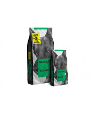 Arion Titanium Balance pienso premium para perros adultos con pavo y aceite de salmón