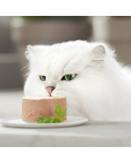 Gourmet Gold Mousse 8x85gr