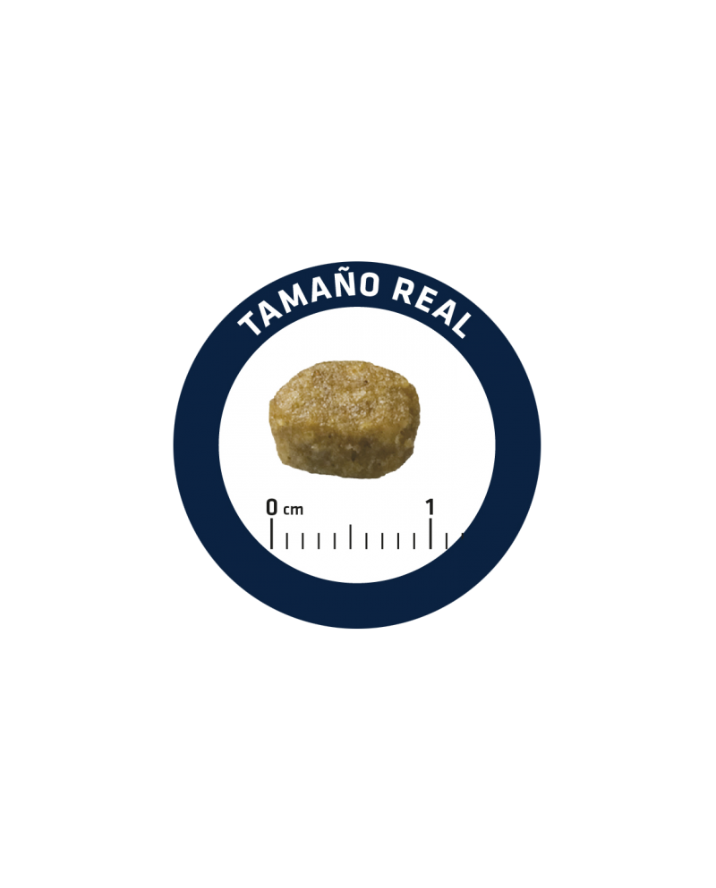 Advance Cat Sterilized Hairball