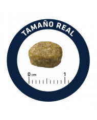 Advance Cat Sterilized Hairball