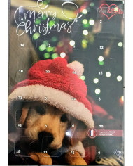 calendario-adviento-max-bella-navidad-para-perros