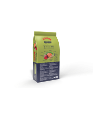 pienso Arion Essential Adult Salmón 15kg