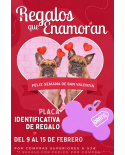Placa Identificativa Personalizada Regalo San Valentín