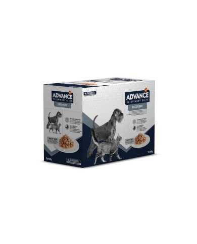 Advance Veterinary Recovery Pack 11 Sobres 100gr