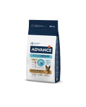 Affinity Advance Pastor Aleman 12Kg