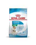 Royal Canin Mini Starter 4Kg