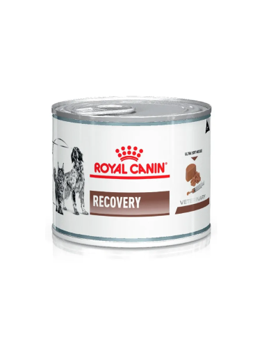 Royal Canin Latas Recovery 12x195gr