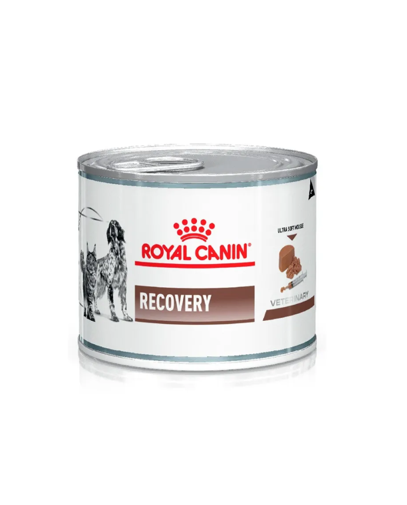 Royal Canin Latas Recovery 12x195gr