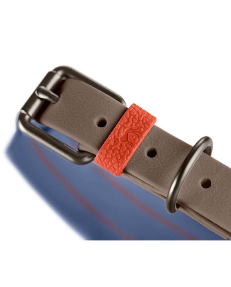 Collar Havanna Hunter  hebilla