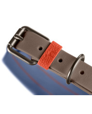 Collar Havanna Hunter  hebilla