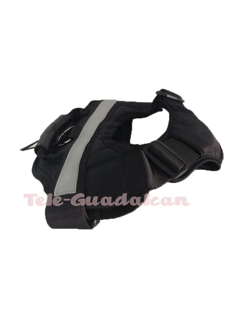 Arnes Sport Mediano