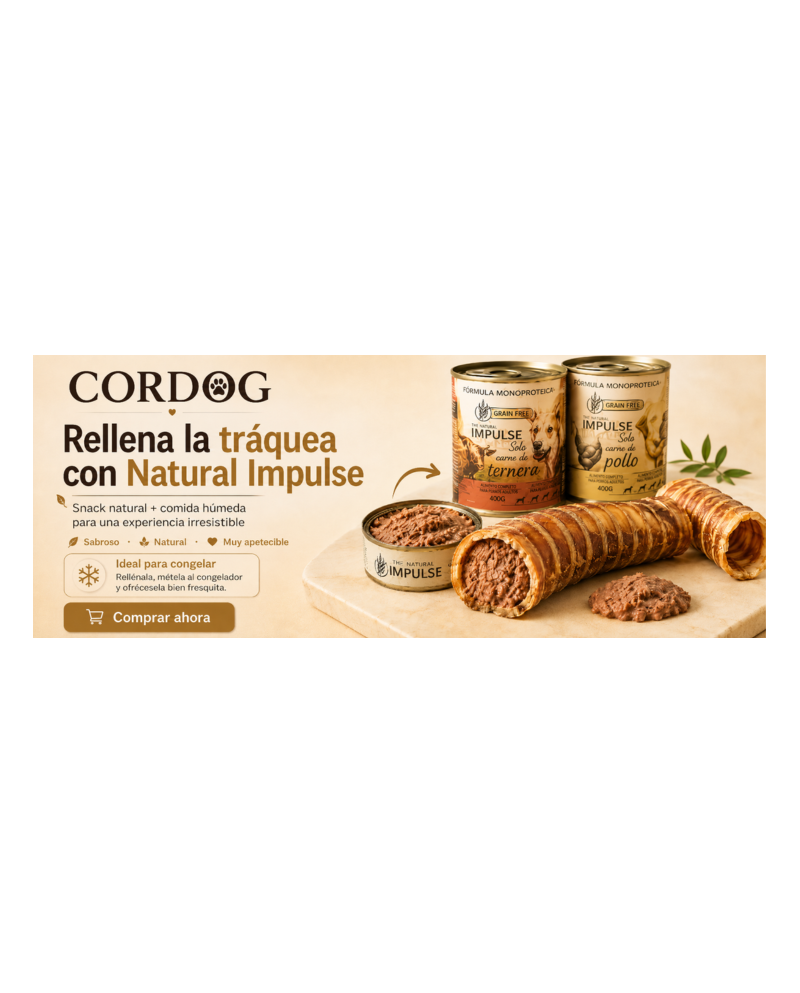 Cordog Snack Refrescante