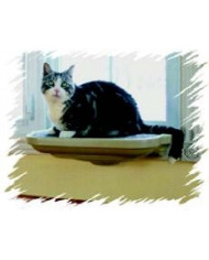 ASIENTO VENTANA ASIENTO VENTANA