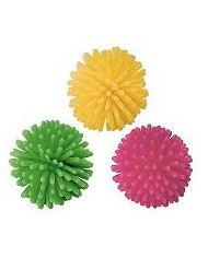 Erizo Saltones Erizo Saltones