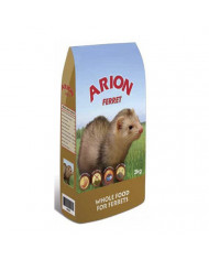 Arion Ferret Hurones Arion Ferret Hurones