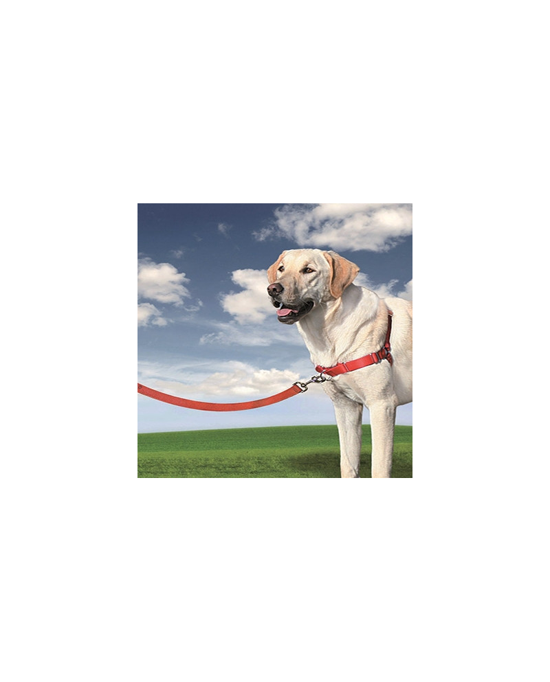 Arnés Anti Tirones Easy Walk FYC - Educacion de perros