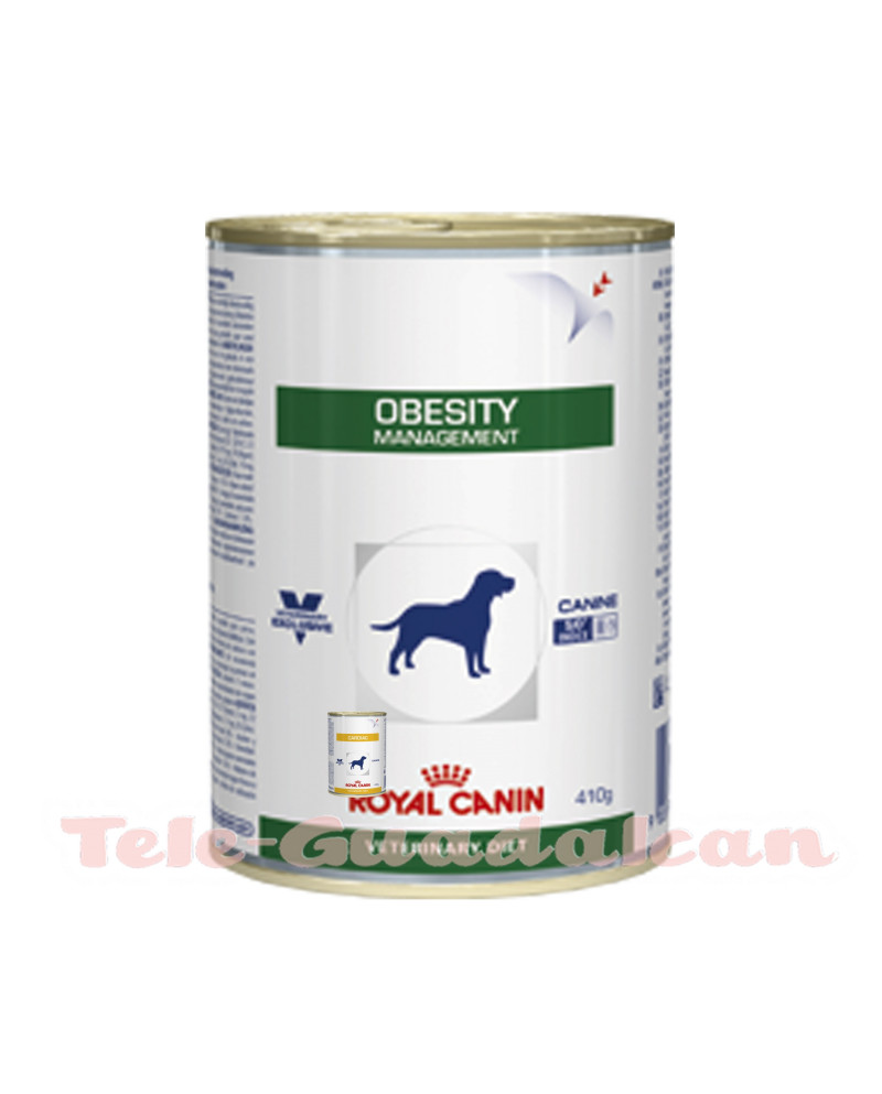 Royal Canin Latas Obesity 12x410Gr