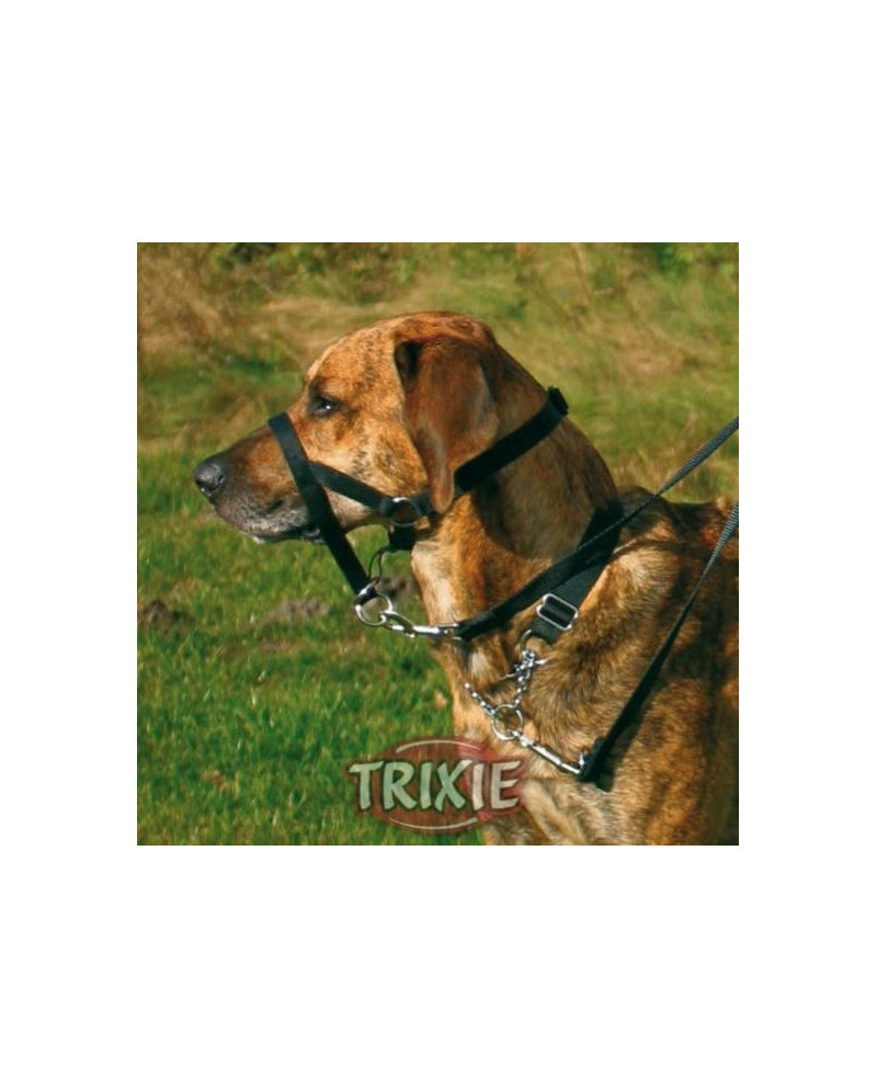 Arnes Bozal Educativo Trainer Arnes Bozal Educativo Trainer