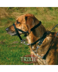 Arnes Bozal Educativo Trainer Arnes Bozal Educativo Trainer