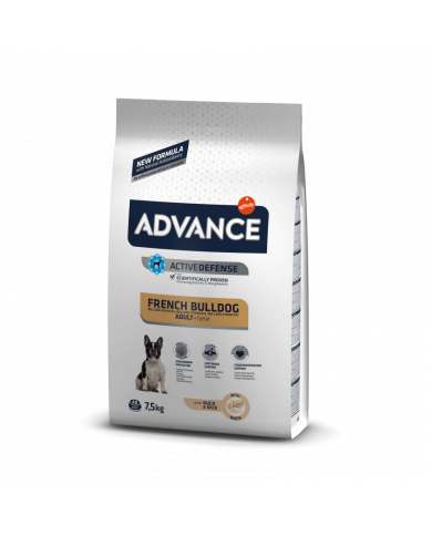 Affinity Advance French Bulldog Affinity Advance French Bulldog