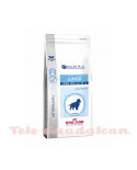 Royal Canin Pediatric Junior Large Dog 4Kg