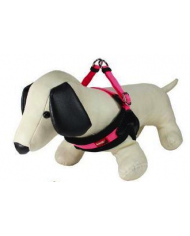 Arnes Kumfi Dog Vest Arnes Kumfi Dog Vest