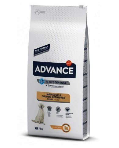 Affinity Advance Labrador Retriver Affinity Advance Labrador Retriver
