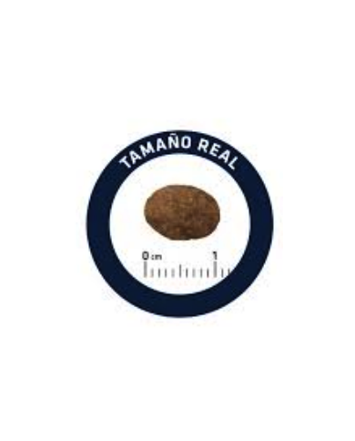 Advance Cat Adult Salmon 10Kg Advance Cat Adult Salmon 10Kg