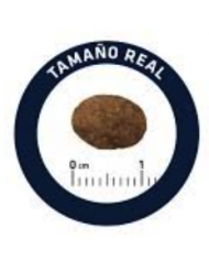 Advance Cat Adult Salmon 10Kg