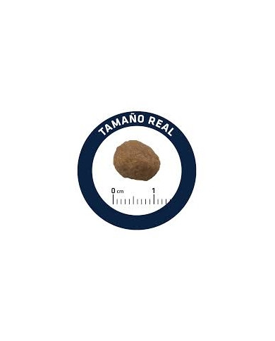 Advance Cat Adult Pollo y Arroz 15kg Advance Cat Adult Pollo y Arroz 15kg