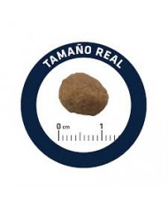 Advance Cat Adult Pollo y Arroz 15kg