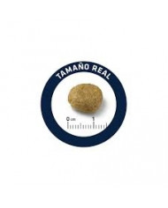 Advance Veterinary Atopica Conejo 3kg