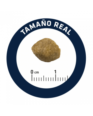 Advance Veterinary Urinary Canine Advance Veterinary Urinary Canine