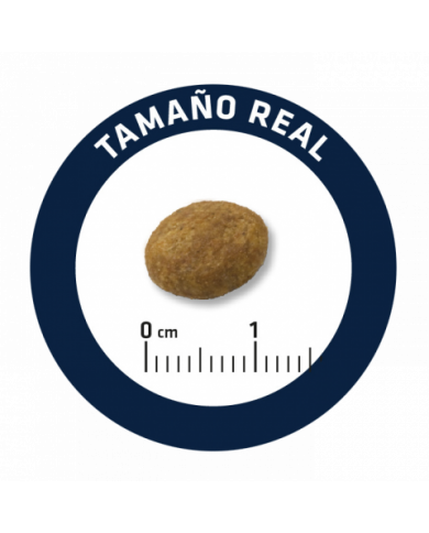 Advance Veterinary Articular Reduced calorie Canine Advance Veterinary Articular Reduced calorie Canine