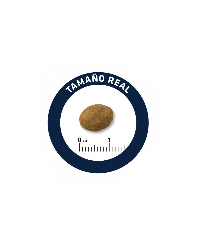 Advance Veterinary Articular Reduced calorie Canine