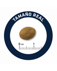 Advance Veterinary Articular Reduced calorie Canine