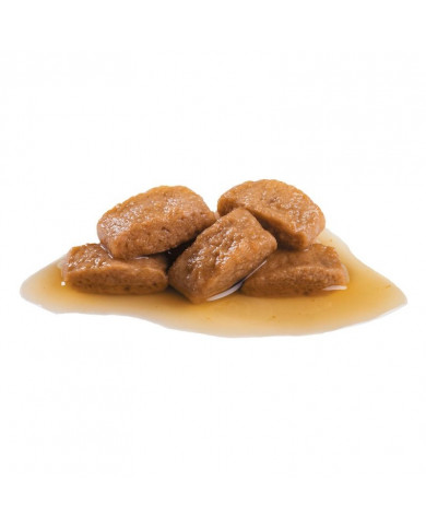 Royal Canin Maxi Adulto Wet Salsa Comida